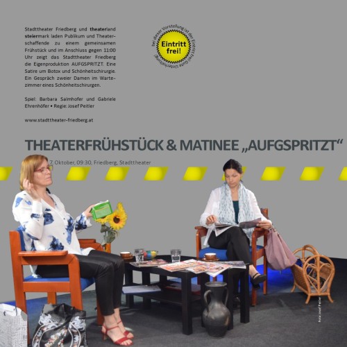 Volkstheater_Programm_2.17_009
